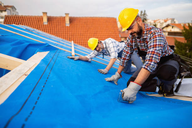 Best Commercial Roofing Services  in Meadows Place, TX